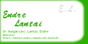 endre lantai business card